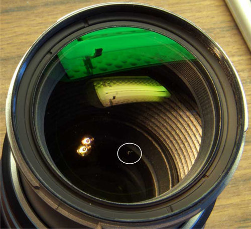 Вездесущая пыль